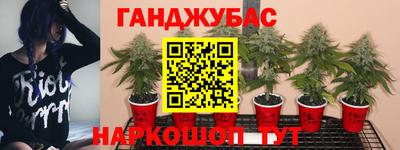 а пвп мука Лесосибирск